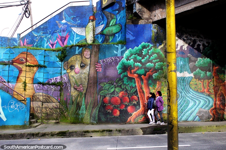Variedade vida selvagem e cenrio natural, arte de rua nos arrabaldes de Porto Montt. (720x480px). Chile, Amrica do Sul.
