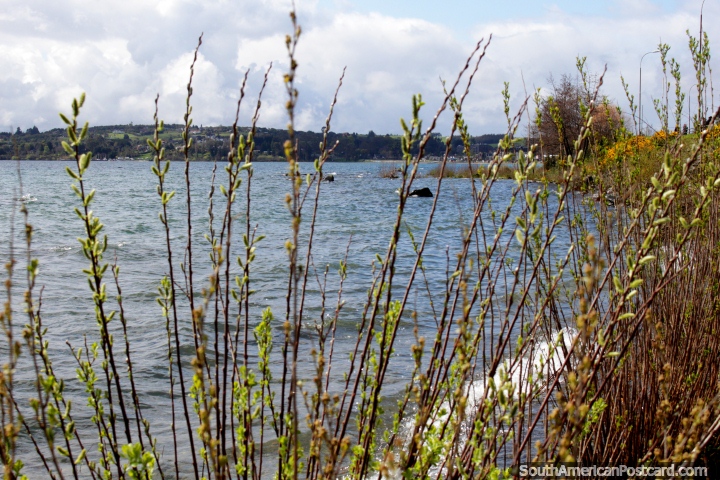 Lago Llanquihue, tranquilo y pacfico en invierno, popular en los meses de verano, Puerto Varas. (720x480px). Chile, Sudamerica.