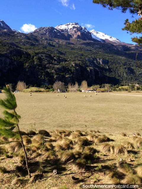 Campo y tierras de cultivo entre la frontera de Argentina y Futaleufú. (480x640px). Chile, Sudamerica.