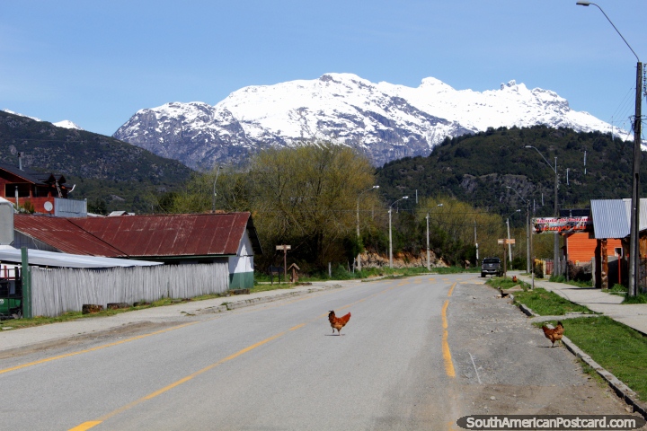 Por que la gallina cruzo la calle? Para visitar a su amiga! Calle en Futaleuf. (720x480px). Chile, Sudamerica.
