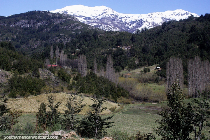 A zona rural espetacular com casas espalhou-se em volta, uma selva verde vasta ao Sudoeste de Futaleufu. (720x480px). Chile, América do Sul.