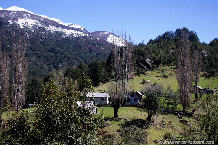 Vida en el campo en las verdes colinas alrededor del Lago Lonconao cerca de Futaleufú. (720x480px). Chile, Sudamerica.