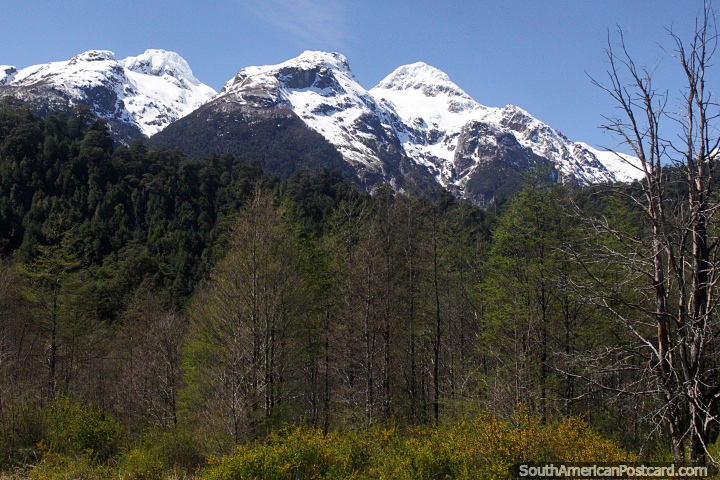 Bosque y montañas nevadas alrededor de Villa Santa Lucia en el camino al sur de Futaleufú. (720x480px). Chile, Sudamerica.