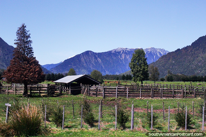 Rancho y tierras de cultivo en el rea alrededor de La Junta entre Futaleuf y Coyhaique. (720x480px). Chile, Sudamerica.