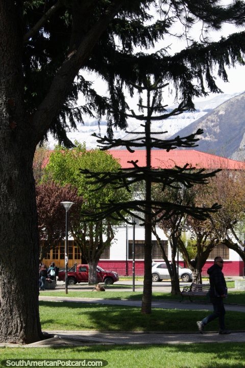La hermosa Plaza de Armas en Coyhaique con árboles y césped, montañas nevadas en la distancia. (480x720px). Chile, Sudamerica.