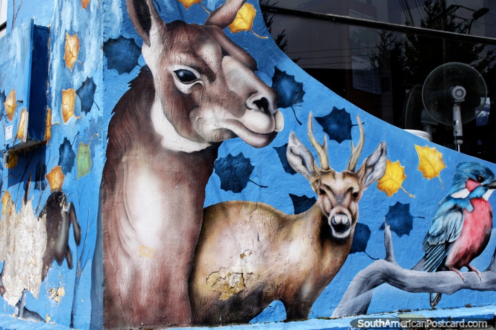 Mural del ciervo huemul en Coyhaique, se puede ver en la Reserva Nacional Ro Simpson. (720x480px). Chile, Sudamerica.