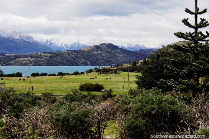 Bela zona rural com montanhas cobertas de neve e o lago perto de Porto Rio Tranquilo. (720x480px). Chile, América do Sul.