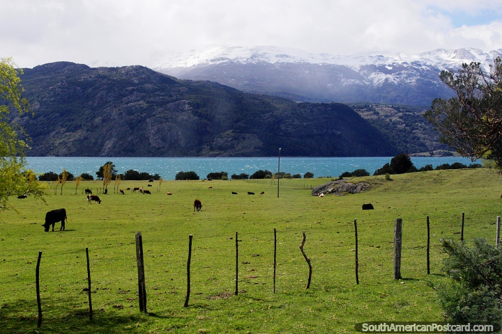 Lago General Carrera y verdes pastos alrededor de Puerto Río Tranquilo. (720x480px). Chile, Sudamerica.