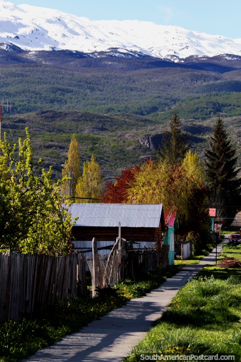 Rua suburbana com muitas rvores coloridas e montanhas nevosas atrs em Cochrane. (480x720px). Chile, Amrica do Sul.