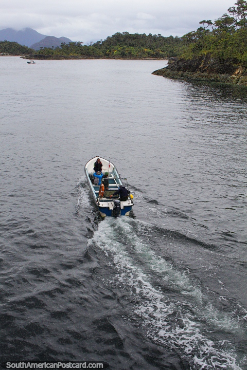 Um barco decifra o seu caminho em volta dos fiordes na Porto Gala. (480x720px). Chile, Amrica do Sul.