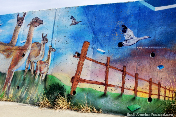 Vicuña y gansos, un colorido mural en Bahía Azul, donde el ferry va a Punta Delgada. (720x480px). Chile, Sudamerica.