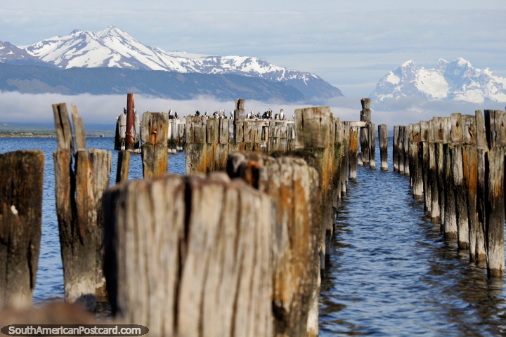 Burnt down pier in Puerto Natales, a landmark along the waterfront. (720x480px). Chile, South America.