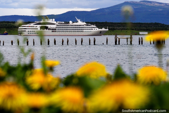 Puerto Natales, a cruise ship, the old pier and yellow flowers. (720x480px). Chile, South America.