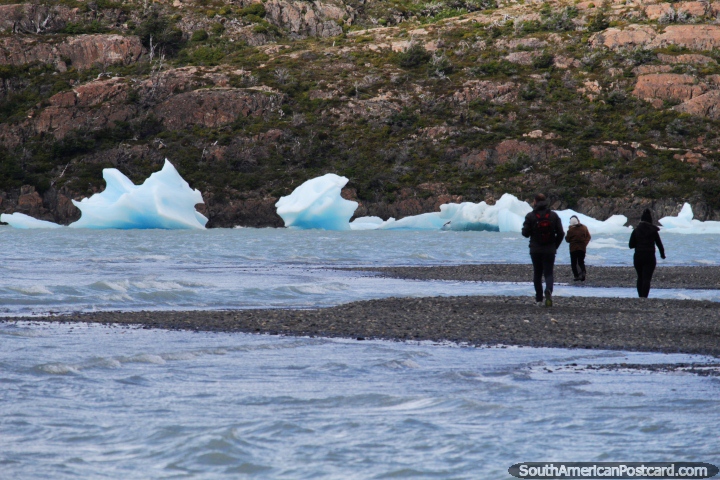 Praia cheia de pedras e pedaos de gelo em Geleira Cinza, muito fria aqui, Torres do Paine. (720x480px). Chile, Amrica do Sul.