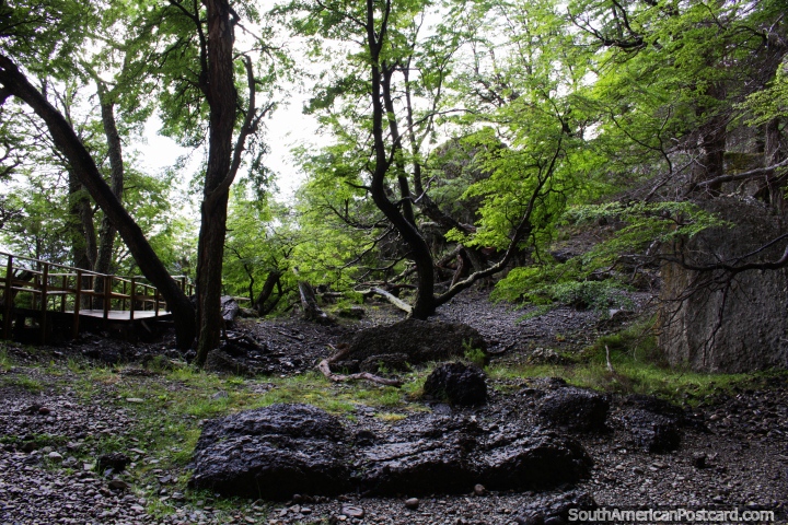 A floresta, as rochas e os caminhos de marcha em Morro Benitez onde as Cavernas de Milodon se localizam em Torres do Paine. (720x480px). Chile, Amrica do Sul.