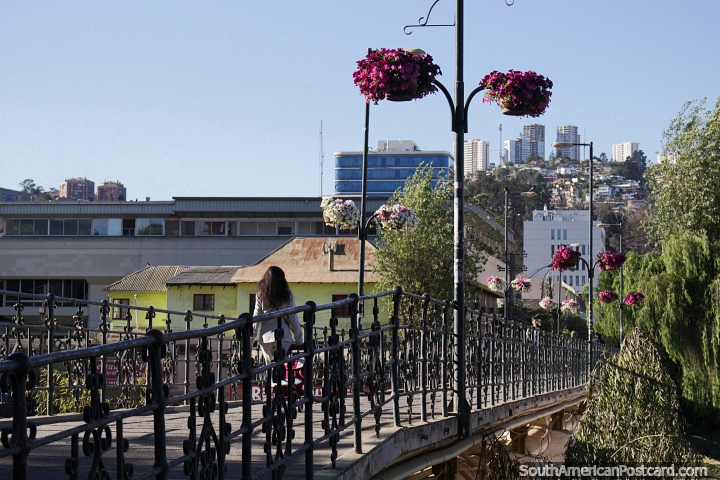 Ponte de ferro com vasos de flores acima e a cidade atrs em Via del Mar. (720x480px). Chile, Amrica do Sul.