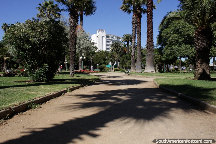Plaza Colombia en Via del Mar es hermosa y verde con altas palmeras y jardines. (720x480px). Chile, Sudamerica.