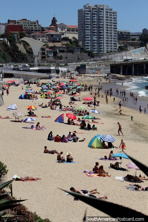 Caleta Abarca Beach is popular in late November but not overcrowded in Vina del Mar. (480x720px). Chile, South America.
