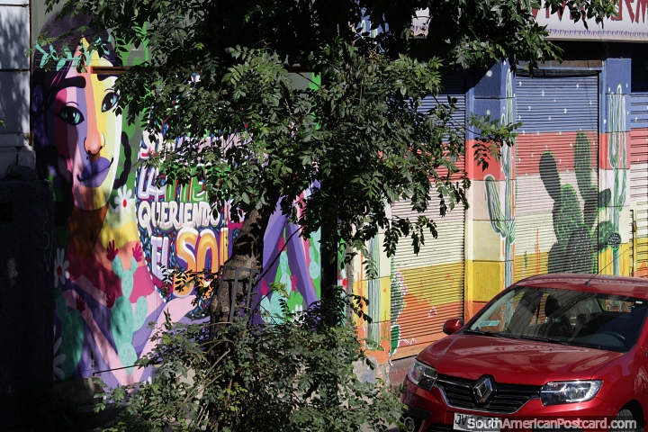 Arte de rua colorida em Valparaso iluminar as ruas, garota no sol e cacto. (720x480px). Chile, Amrica do Sul.