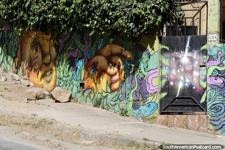 Face and hand in a garden of snakes, street art at the front of a house in Valparaiso. (720x480px). Chile, South America.