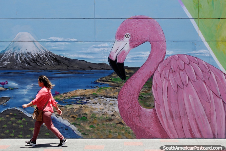 Pink flamingo and a beautiful lake and snow-capped mountain, giant street art in Arica. (720x480px). Chile, South America.