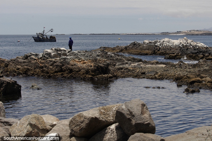 O homem olha para o mar, um barco distante e as rochas brancas em Caldera. (720x480px). Chile, Amrica do Sul.