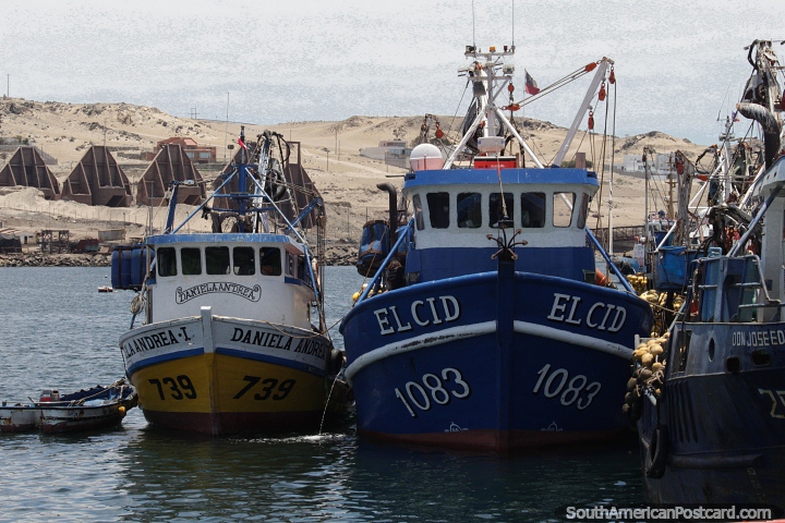 Fishing boats at the port in Caldera, a desert backdrop. (720x480px). Chile, South America.
