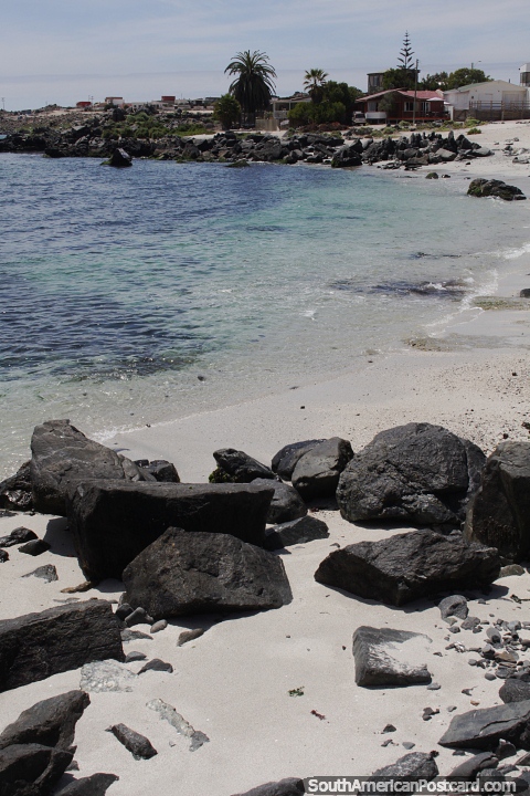 Bien protegida de la erosin, la costa es fuerte y est bordeada de rocas alrededor de Caldera. (480x720px). Chile, Sudamerica.