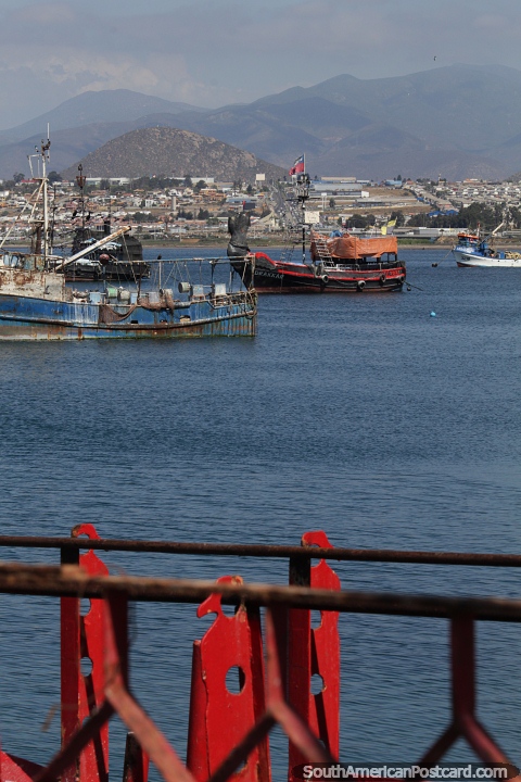 Interesting boats in the harbor in Coquimbo. (480x720px). Chile, South America.