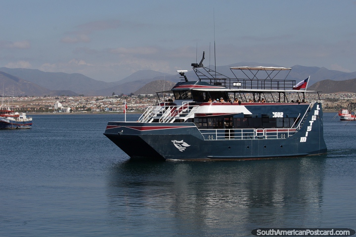 Passenger cruise around the harbor in Coquimbo with nice scenery. (720x480px). Chile, South America.
