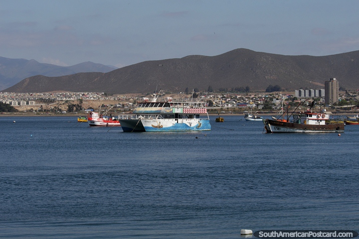 Comunidades que vivem entre a serra e o mar, barcos no porto de Coquimbo. (720x480px). Chile, Amrica do Sul.