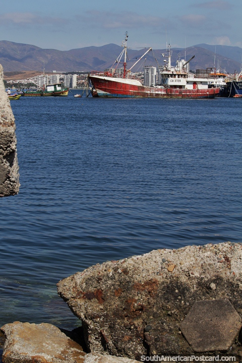 Grande barco de pesca vermelho atracado no porto de Coquimbo. (480x720px). Chile, Amrica do Sul.