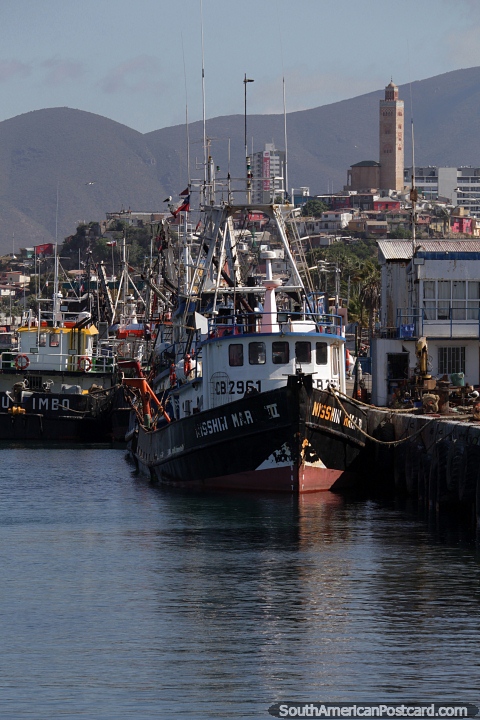 Fishing boats docked at the port and the mosque on the hill in Coquimbo. (480x720px). Chile, South America.