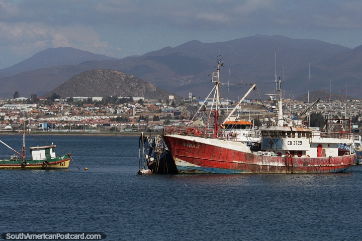Amazing mountainous backdrop behind the sea in Coquimbo. (720x480px). Chile, South America.