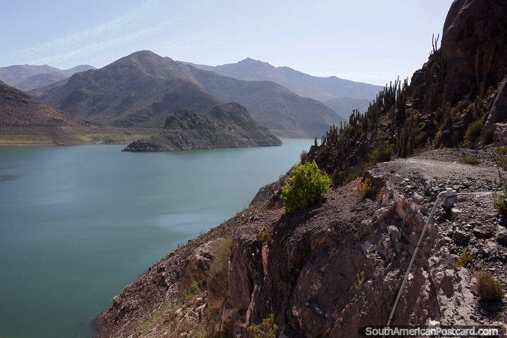 Puclaro reservoir in the Elqui Valley, cactus on the mountainside near Vicuna. (720x480px). Chile, South America.