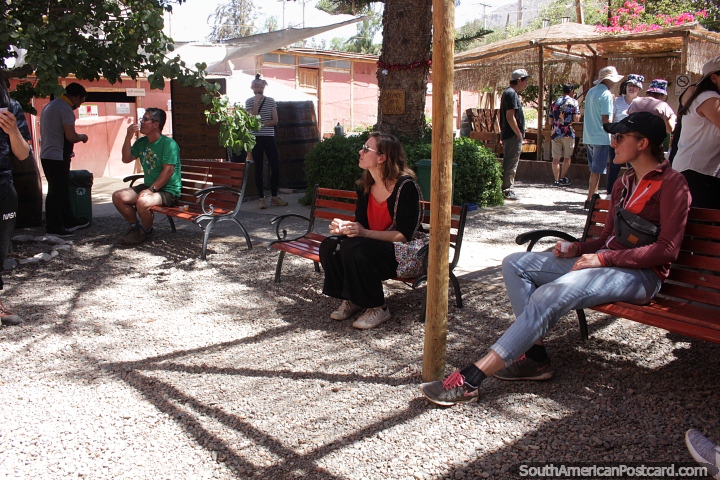 Tasting different flavors of pisco at the Aba Pisquera around Vicuna. (720x480px). Chile, South America.