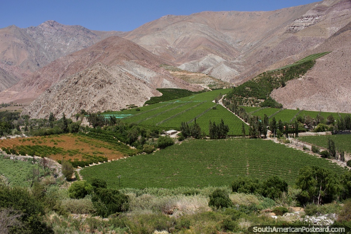 Beautiful and green Elqui Valley in the area around Paihuano. (720x480px). Chile, South America.