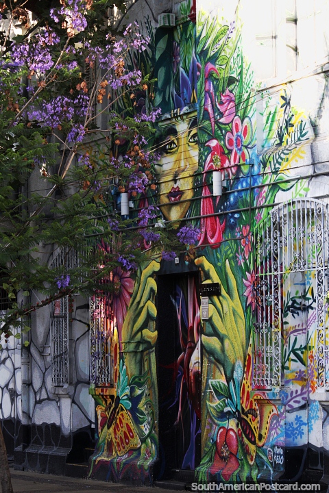 Colorido arte callejero en Bellavista, un barrio cultural de Santiago. (480x720px). Chile, Sudamerica.