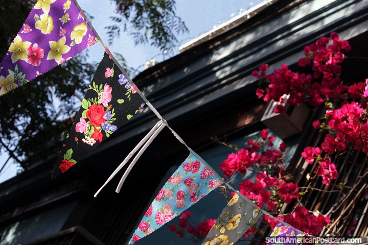 Flags featuring flower designs blow in the wind above the sidewalk in Bellavista, Santiago. (720x480px). Chile, South America.