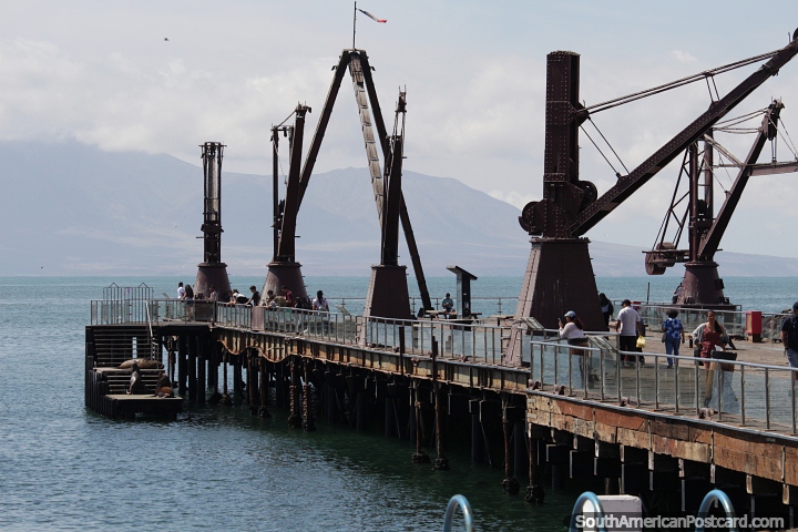 People look down to sea lions at the end of the antique wharf in Antofagasta. (720x480px). Chile, South America.