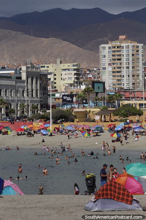 Praia colorida e bela orla martima em Antofagasta. (480x720px). Chile, Amrica do Sul.