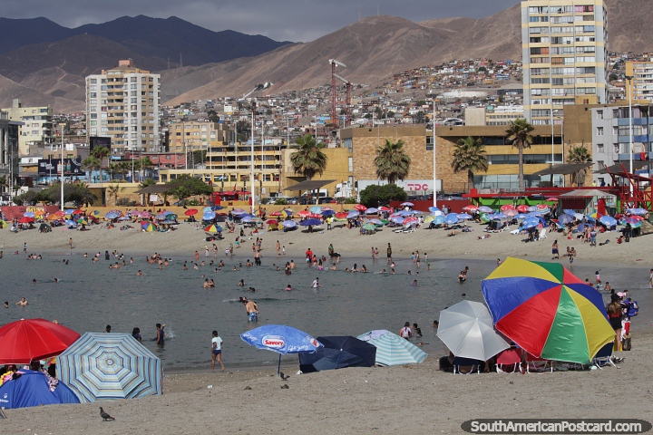 Playa Paraso con muchas sombrillas de colores iluminando la baha de Antofagasta. (720x480px). Chile, Sudamerica.