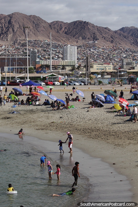 People enjoy the beach on a hot day in Antofagasta. (480x720px). Chile, South America.