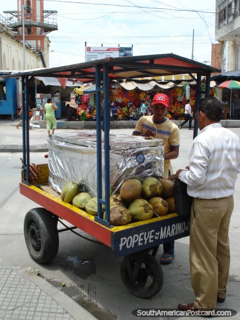 Corte um buraco no coco e use uma palha para tomar uma bebida, Barranquilla. (480x640px). Colmbia, Amrica do Sul.