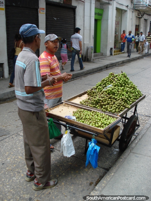 A man with a cart full of mamones, a juicy fleshy fruit that is pink inside, Cartagena. (480x640px). Colombia, South America.