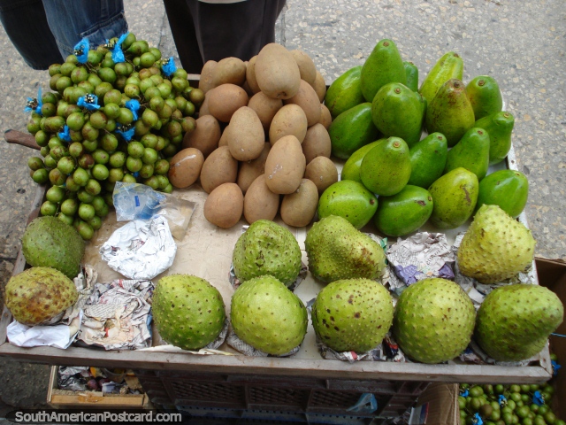 Guanabanas, mamones, avocados and potatoes for sale on the street in Cartagena. (640x480px). Colombia, South America.