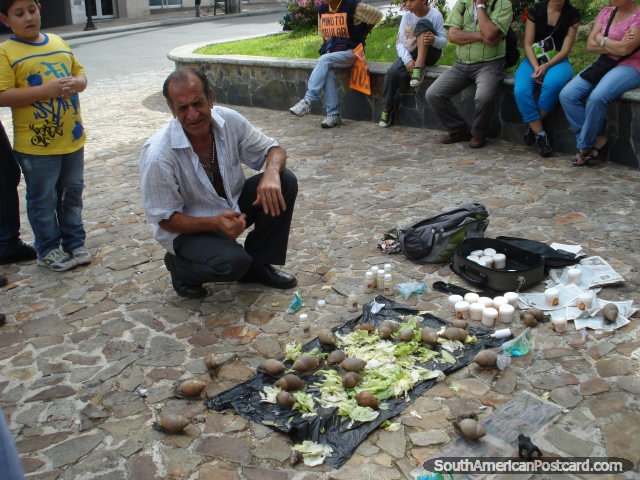 Um homem mostra aos habitantes locais de Bello o uso de lesmas gigantescas, Medellïn. (640x480px). Colômbia, América do Sul.