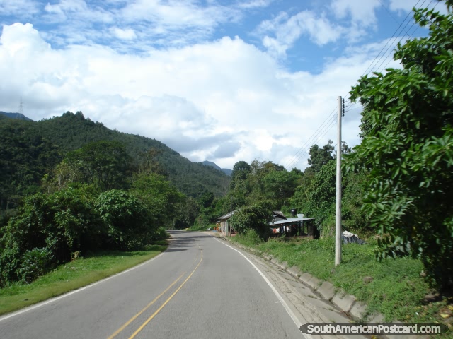 El planeo calle abajo hacia Cucuta a través del bosque. (640x480px). Colombia, Sudamerica.