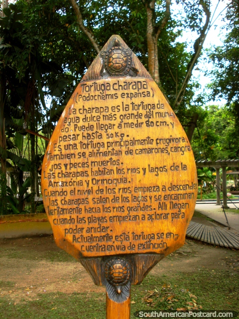 Tortuga Charapa, informação sobre as tartarugas em Santander Parque em Leticia. (480x640px). Colômbia, América do Sul.