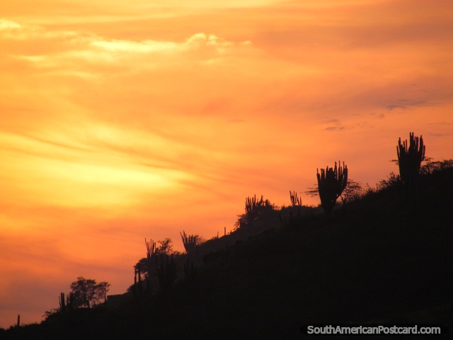 Orange and yellow sunset and cactus silhouette in Taganga. (640x480px). Colombia, South America.